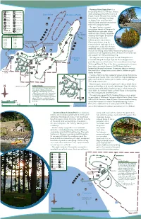 Kopachuck, Penrose Point and Joemma Beach