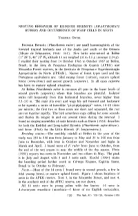 Nesting Behavior of Reddish Hermits (Phaethornis Ruber) and Occurrence of Wasp Cells in Nests