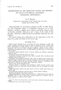 (RAGONOT) (PYRALIDAE: PHYCITINAE)L