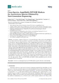 Cross-Species, Amplifiable EST-SSR Markers for Amentotaxus Species