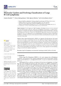 Molecular Update and Evolving Classification of Large B-Cell Lymphoma