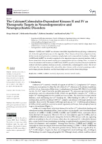 The Calcium/Calmodulin-Dependent Kinases II and IV As Therapeutic Targets in Neurodegenerative and Neuropsychiatric Disorders