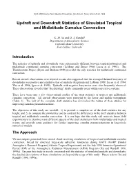 Updraft and Downdraft Statistics of Simulated Tropical and Midlatitude Cumulus Convection
