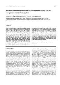 Activity and Expression Pattern of Cyclin-Dependent Kinase 5 in the Embryonic Mouse Nervous System