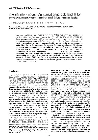 Classification of Oral Pigmented Anaerobic Bacilli by Pyrolysis Mass Spectrometry and Biochemical Tests