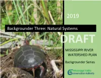 Backgrounder Three: Natural Systems