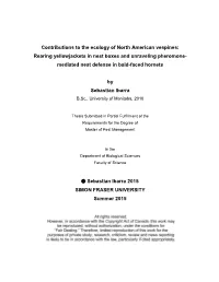 SFU Thesis Template Files