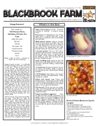 Blackbrook Farm 827 15Th St, Clayton, WI 54004 | 828-702-0444 | Blackbrookfarmstead.Com | Blackbrook.Farm.Llc@Gmail.Com