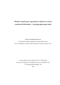 Masseter Muscle Gene Expression in Relation to Various Craniofacial Deformities: a Genotype-Phenotype Study