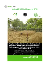 BHU) Final Report to DFID