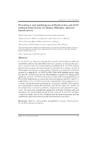 Prevalence and Antibiogram of Escherichia Coli O157 Isolated from Bovine in Jimma, Ethiopia: Abattoir- Based Survey