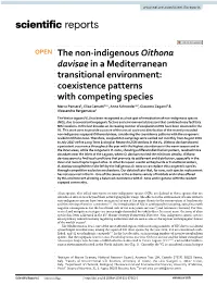 The Non-Indigenous Oithona Davisae in a Mediterranean