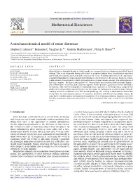 A Mechanochemical Model of Striae Distensae ⇑ Stephen J