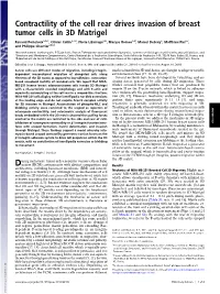 Contractility of the Cell Rear Drives Invasion of Breast Tumor Cells in 3D Matrigel