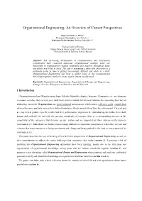 Organizational Engineering: an Overview of Current Perspectives
