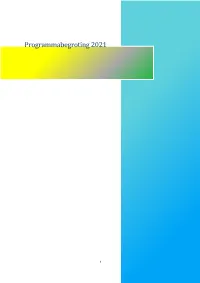 Programmabegroting 2021