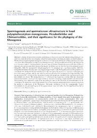 Spermiogenesis and Spermatozoon Ultrastructure in Basal