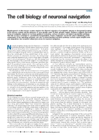 The Cell Biology of Neuronal Navigation