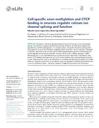 Cell-Specific Exon Methylation and CTCF Binding in Neurons Regulate Calcium Ion Channel Splicing and Function Eduardo Javier Lo´ Pez Soto, Diane Lipscombe*