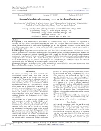 Successful Unilateral Vasectomy Reversal in a Lion (Panthera Leo)