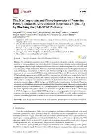 The Nucleoprotein and Phosphoprotein of Peste Des Petits Ruminants Virus Inhibit Interferons Signaling by Blocking the JAK-STAT Pathway