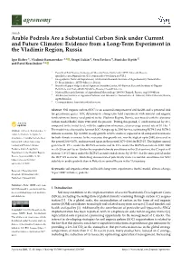 Arable Podzols Are a Substantial Carbon Sink Under Current and Future Climates: Evidence from a Long-Term Experiment in the Vladimir Region, Russia