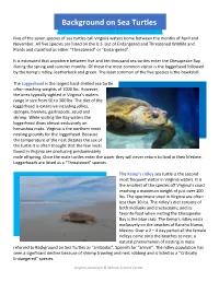 Background on Sea Turtles