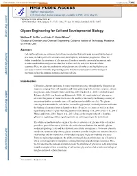 Glycan Engineering for Cell and Developmental Biology