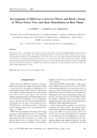 Investigation of Differences Between Wheat and Barley Forms of Wheat Dwarf Virus and Their Distribution in Host Plants