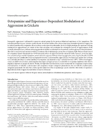 Octopamine and Experience-Dependent Modulation of Aggression in Crickets