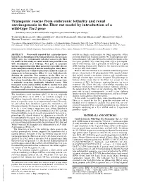 Transgenic Rescue from Embryonic Lethality and Renal Carcinogenesis in the Eker Rat Model by Introduction of a Wild-Type Tsc2 Ge