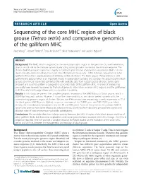 And Comparative Genomics of the Galliform MHC Biao Wang1*, Robert Ekblom2, Tanja M Strand1,3, Silvia Portela-Bens1 and Jacob Höglund1