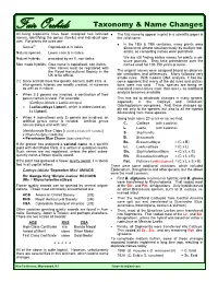 FO, Taxonomy & Name Changes.Pdf