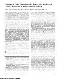 Changes in Gene Expression by Trabecular Meshwork Cells in Response to Mechanical Stretching
