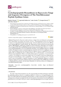 Cyclodepsipeptide Biosynthesis in Hypocreales Fungi and Sequence Divergence of the Non-Ribosomal Peptide Synthase Genes