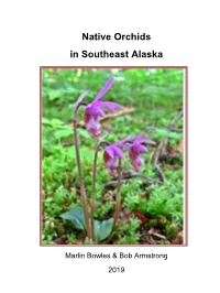 Native Orchids in Southeast Alaska