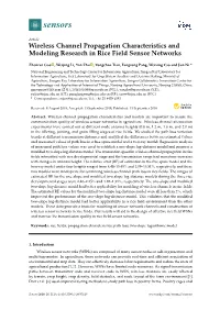 Wireless Channel Propagation Characteristics and Modeling Research in Rice Field Sensor Networks