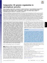 Comparative 3D Genome Organization in Apicomplexan Parasites
