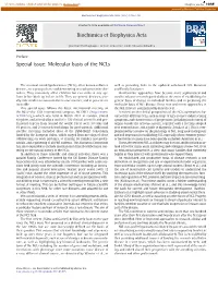 Molecular Basis of the Ncls