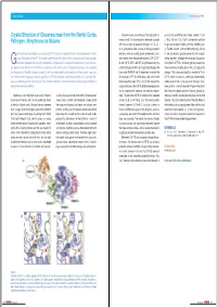 Crystal Structure of Glucansucrase from the Dental Caries