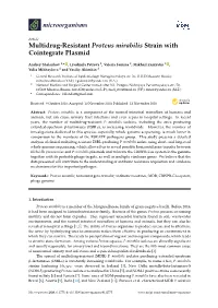Multidrug-Resistant Proteus Mirabilis Strain with Cointegrate Plasmid
