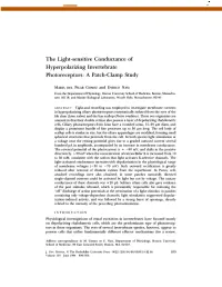 The Light-Sensitive Conductance of Hyperpolarizing Invertebrate Photoreceptors: a Patch-Clamp Study