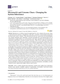 Micronuclei and Genome Chaos: Changing the System Inheritance