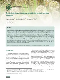 Species Boundary and Extensive Hybridization and Introgression in Petunia