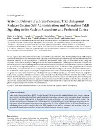 Systemic Delivery of a Brain-Penetrant Trkb Antagonist