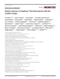 The Lizard Species with the Smallest Ranges