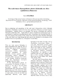 The Occurrence of Rhyndophorus Ferrugineus in Grecce and Cyprus