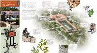 Getty Villa Map and Guide