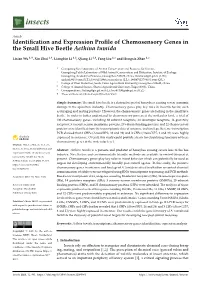Identification and Expression Profile of Chemosensory Genes in the Small