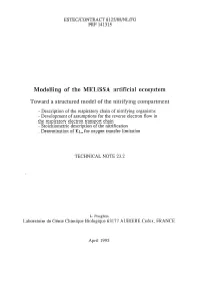 Modelling of the Melissa Artificial Ecosystem